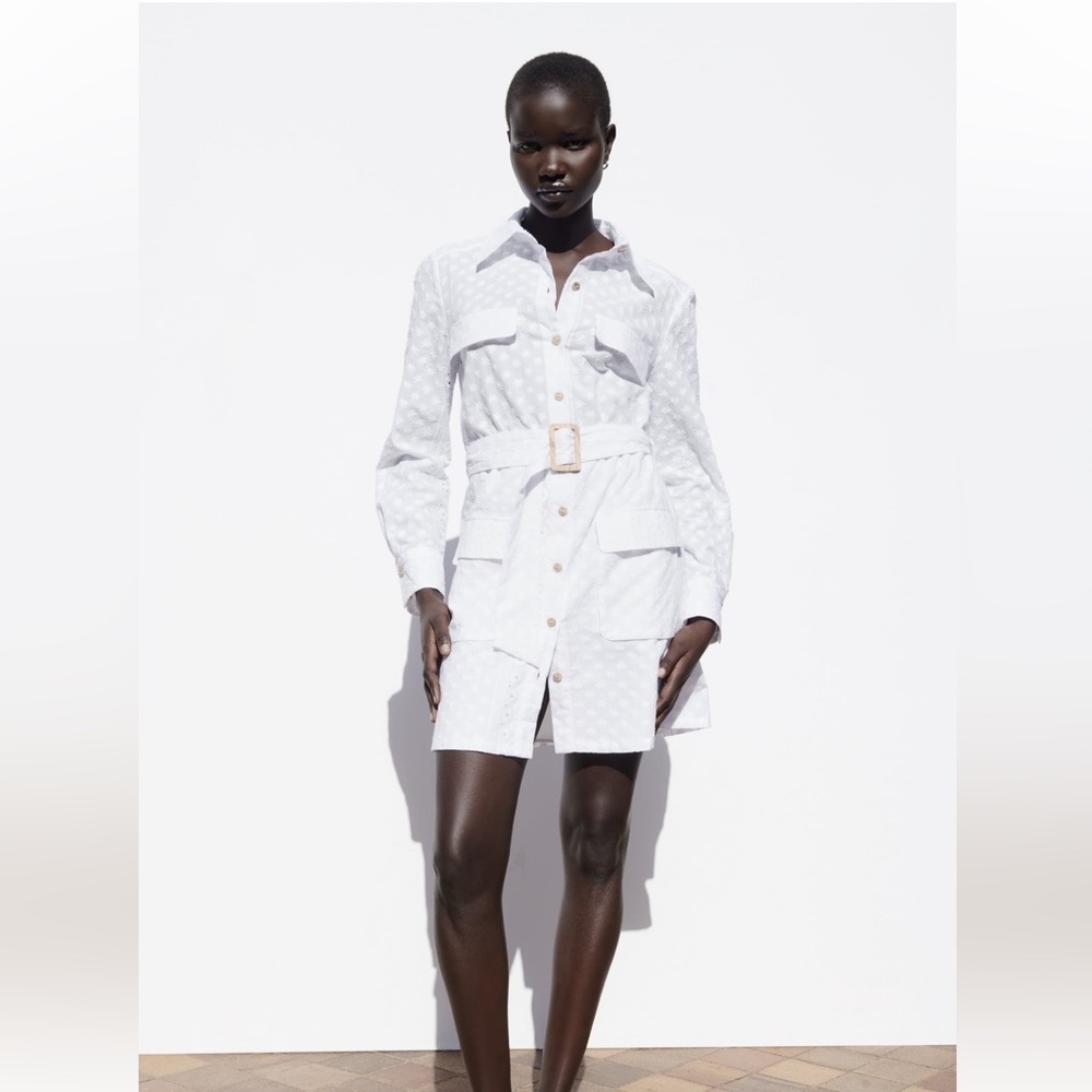 Zara Belted Embroidered Mini Dress
